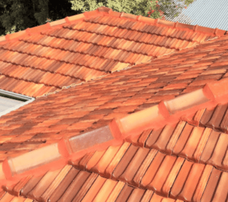 A clean Terracotta Tile Roof